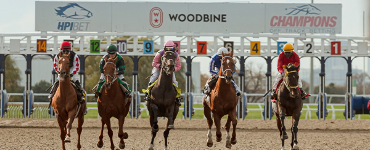 Woodbine Racetrack